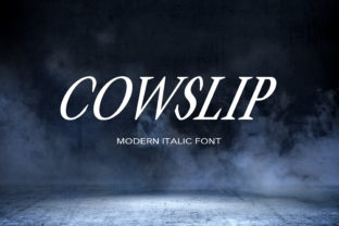 Cowslip: A Modern Display Font for Branding That Stands Out