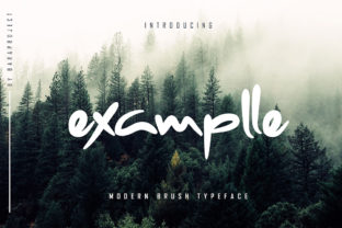 Examplle: A Display Font That Elevates Campaign Creativity