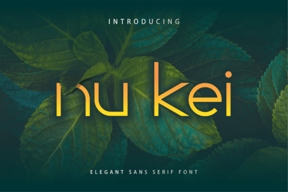 Nu Kei Font for Modern Editorial Design