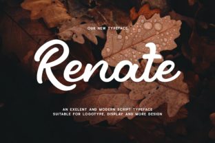 Renate Display Font for Bold Brand Campaigns
