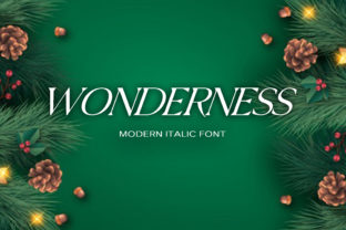 Wonderness Font for Branding Projects and Creative Design